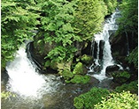男体山の噴火によってできた溶岩の上を210メートルにわたって流れ落ちる滝。滝つぼ近くが大きな岩によって二分され、その様子が竜の頭に似ていることからこの名がついたといわれています。